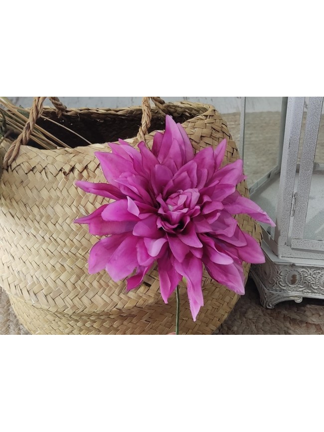 Daliass Flamenca