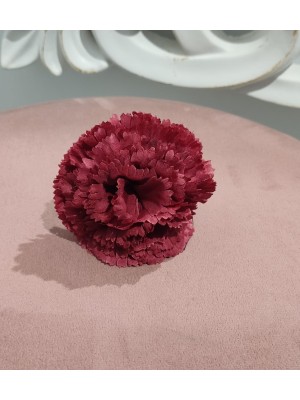 Clavel Flamenca