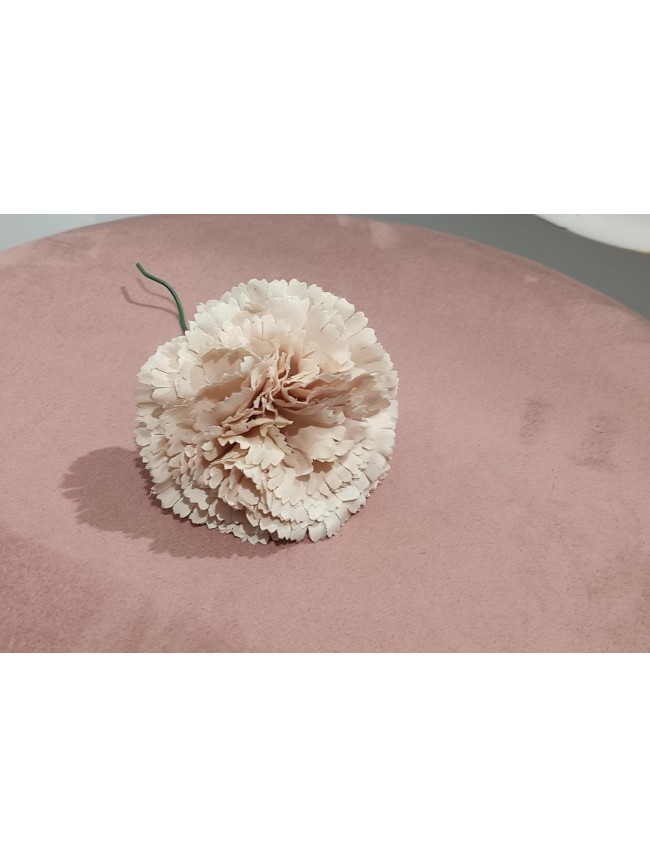 Clavel Flamenca