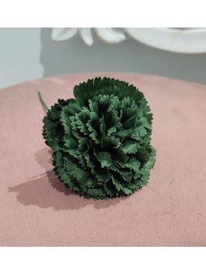 Clavel Flamenca