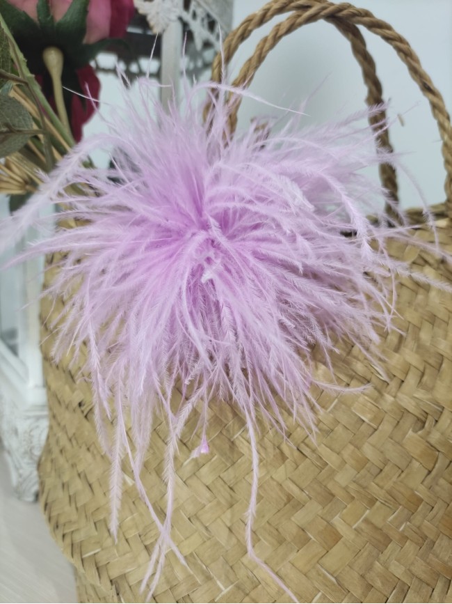 Accesorio Plumas