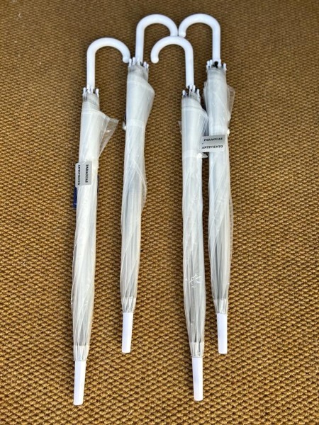 Paraguas Transparente 2