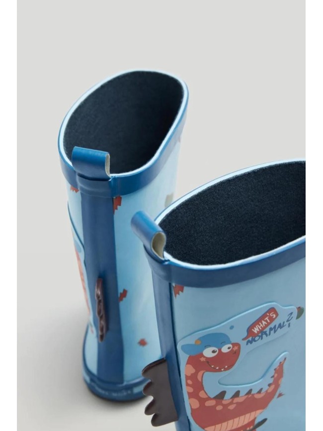 Botas De Agua Dino