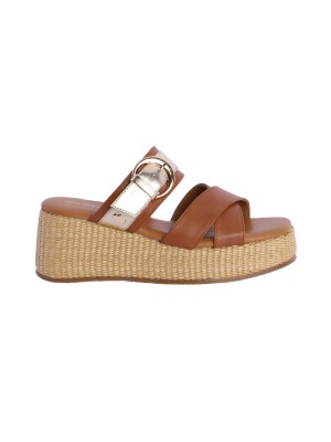 Plataforma D Algodon