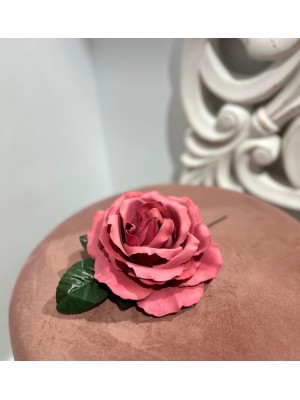 Rosas Maxi Grandes