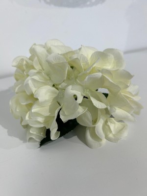 Hortensia Flamenca