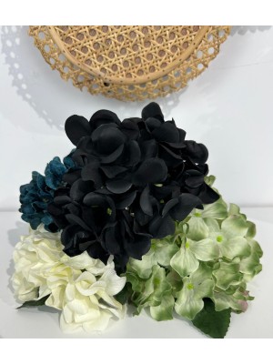 Hortensia Flamenca