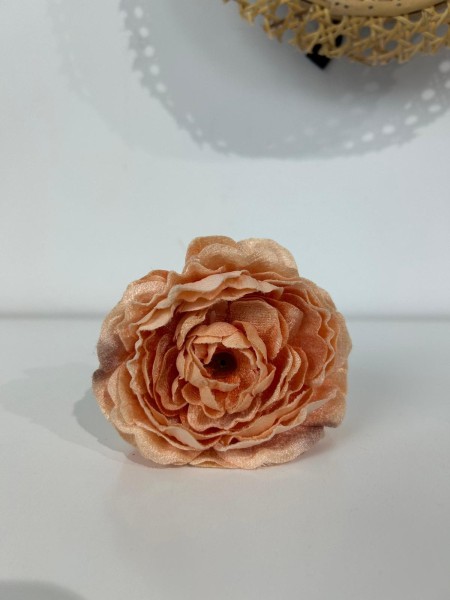 Peonia Rosa Persa