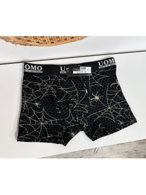 Boxer Araña