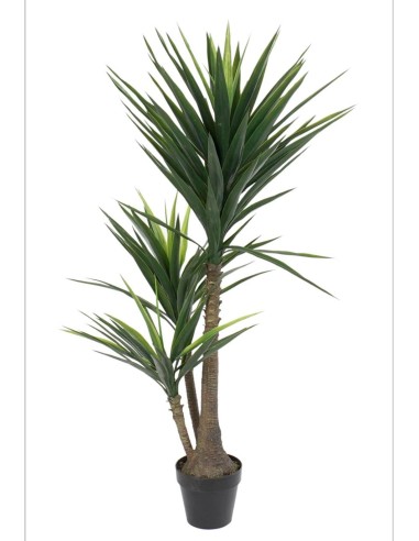 PLANTA YUCA ARTIFICIAL