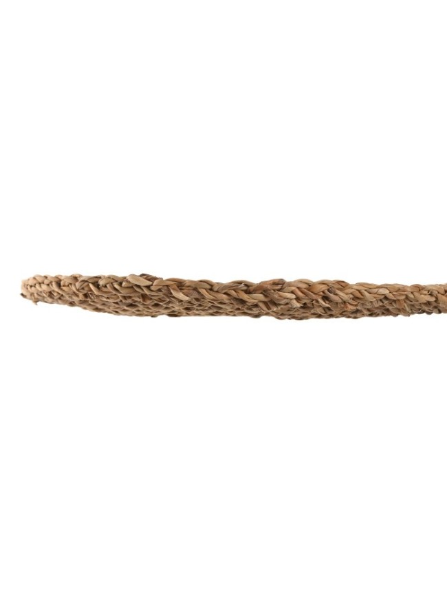Individual Seagrass