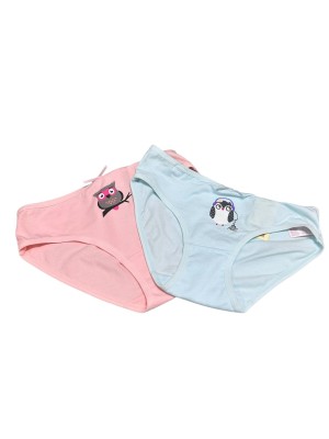 Braguitas dibujos niña