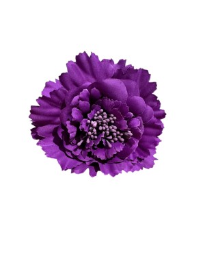 Flor clavel pistilos