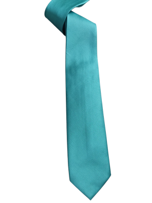 Corbata Lisa Ancha