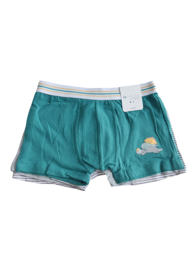 Pack boxer dino niño