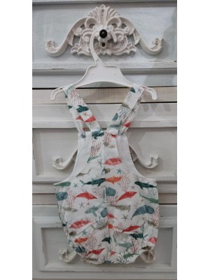 Peto Animales Marinos