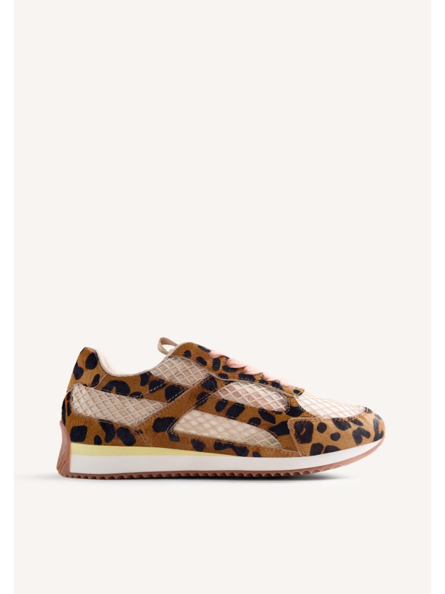 Deportiva Seekonk Leopard Gioseppo