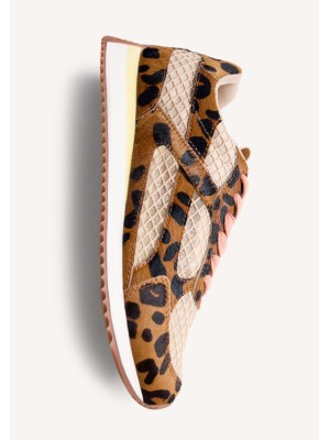Deportiva Seekonk Leopard Gioseppo