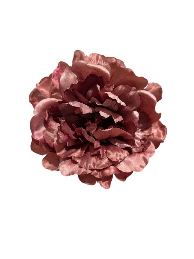 Flor Peonía flamenca