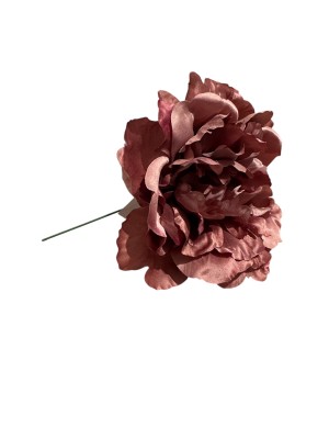 Flor Peonía flamenca