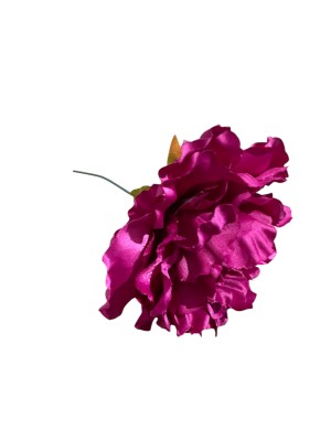 Flor Peonía flamenca