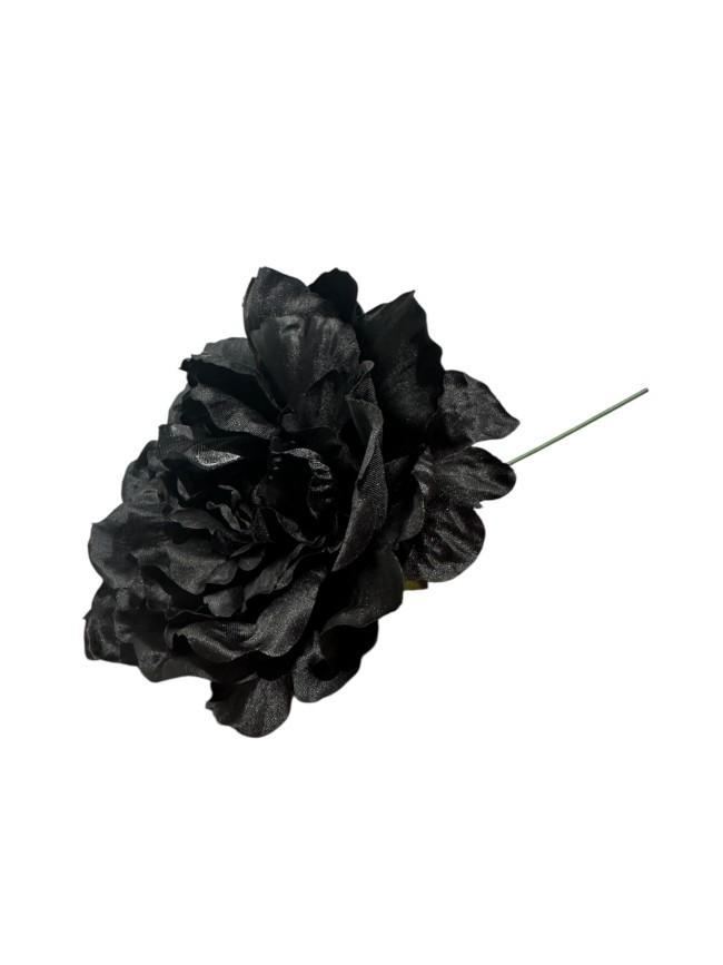 Flor Peonía flamenca