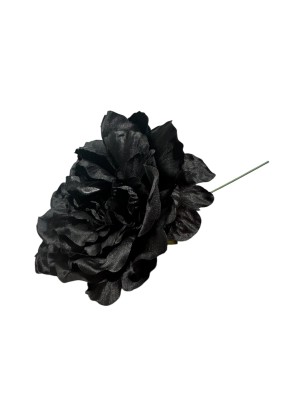 Flor Peonía flamenca