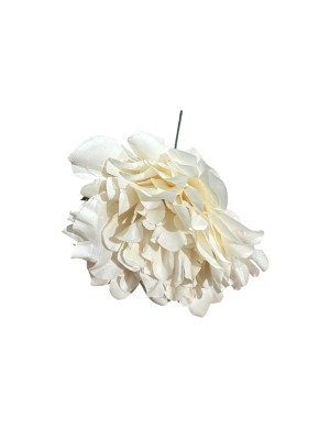 Flor Peonía mediana