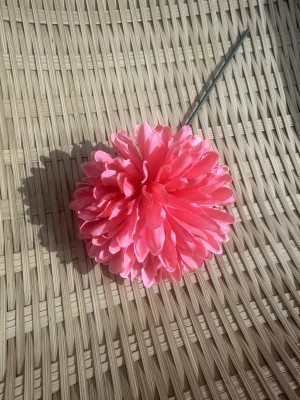 Flor Crisantemos Pequeños