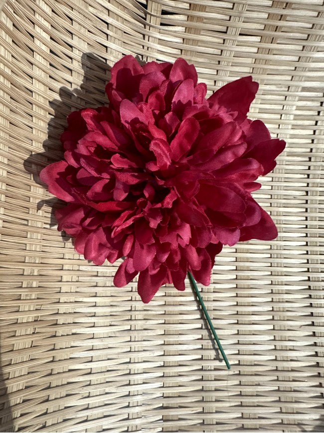 Peonías Pequeñas