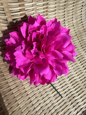 Peonías Pequeñas