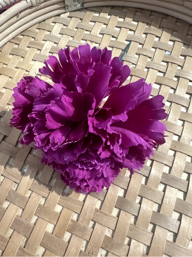 Claveles Flamenca