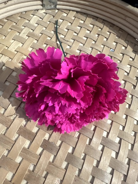 Claveles Flamenca 2