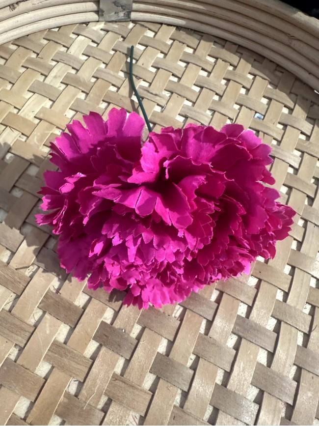 Claveles Flamenca