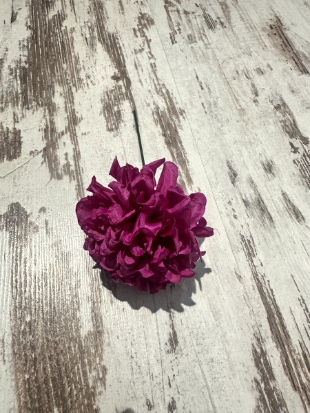 Hortensia Flor flamenca