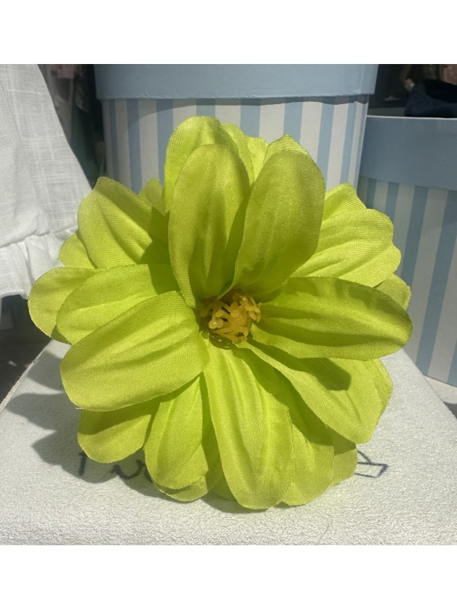 Dahlia flor flamenca