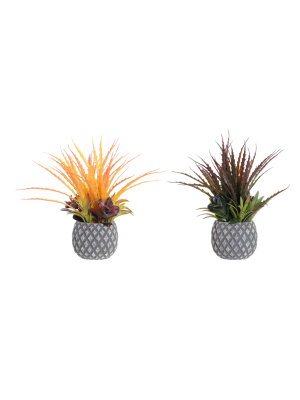 Planta PP Item