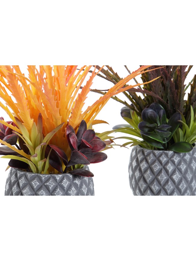 Planta PP Item