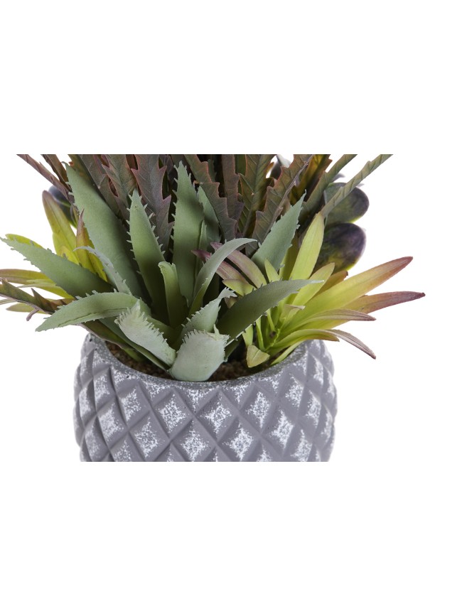 Planta PP Item