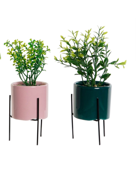 Planta Gres Item