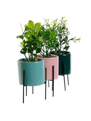 Planta Gres Item