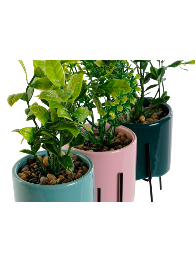 Planta Gres Item
