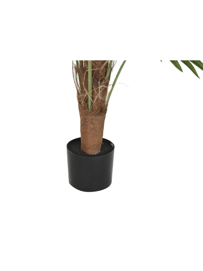 Planta palmera Item