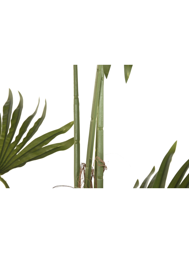 Planta palmera Item