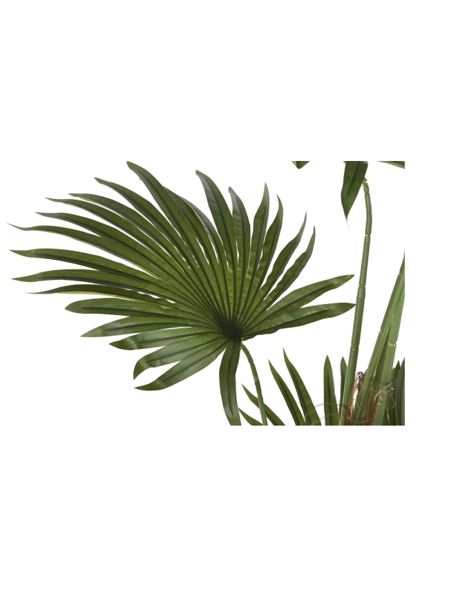 Planta palmera Item