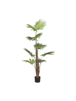 Planta palmera Item