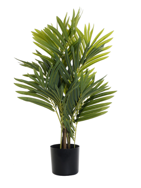 Planta PVC Item