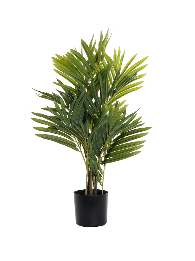 Planta PVC Item