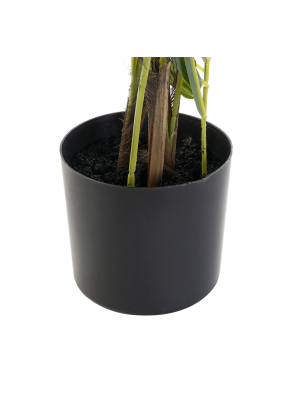 Planta PVC Item