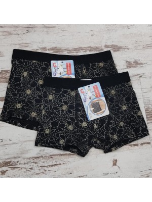 Boxer Niño Araña